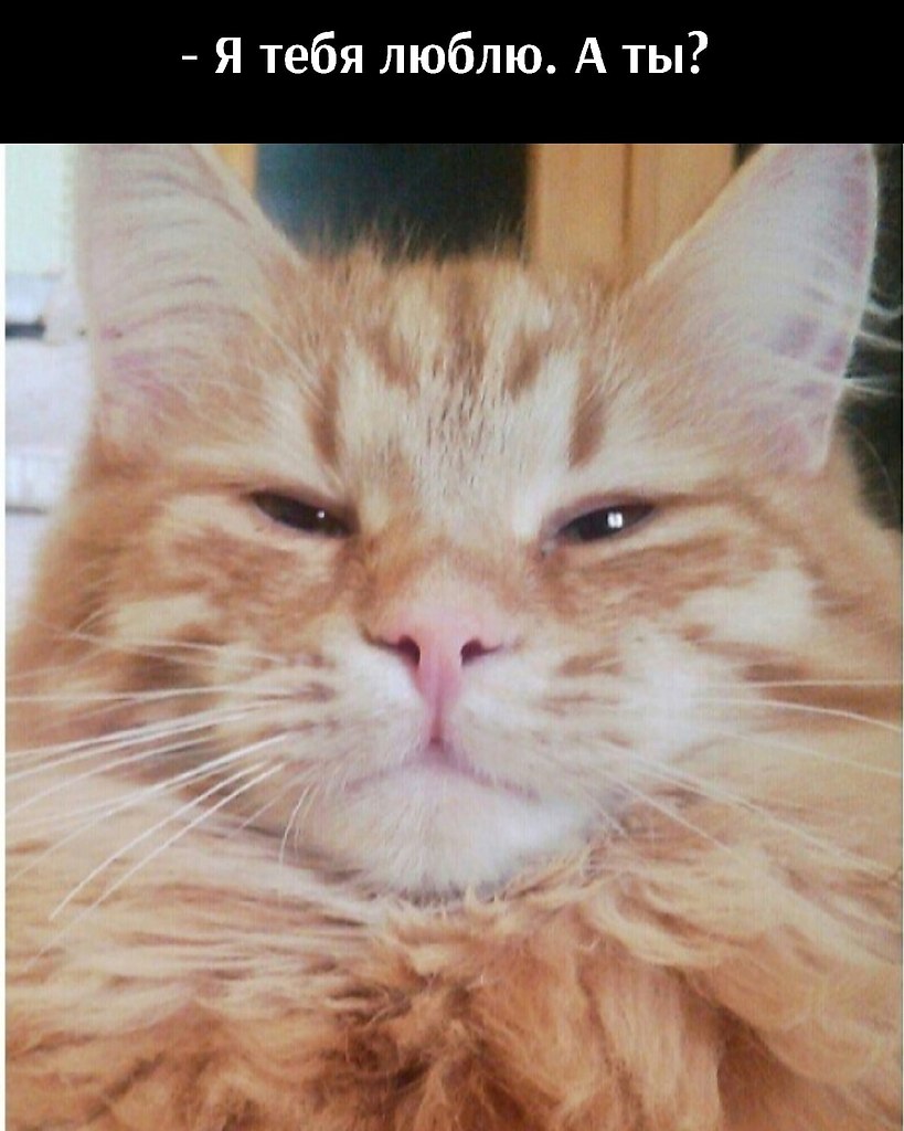 ��� ���� � ����� �� �� - 12 ��� 2021 � 20:14