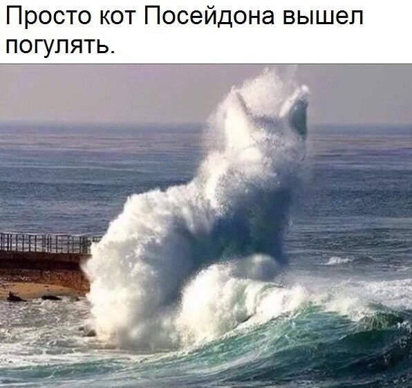    - 23  2021  18:32