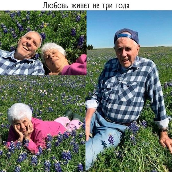 Пронести любовь через всю жизнь - вот, что меня восхищает!
