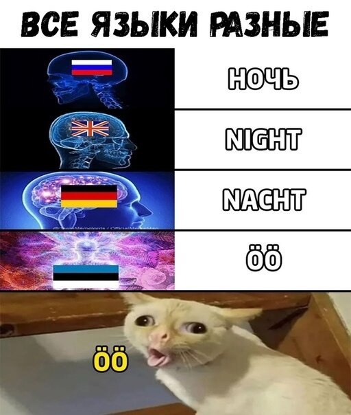 ☆   ☆ - 6  2021  21:29