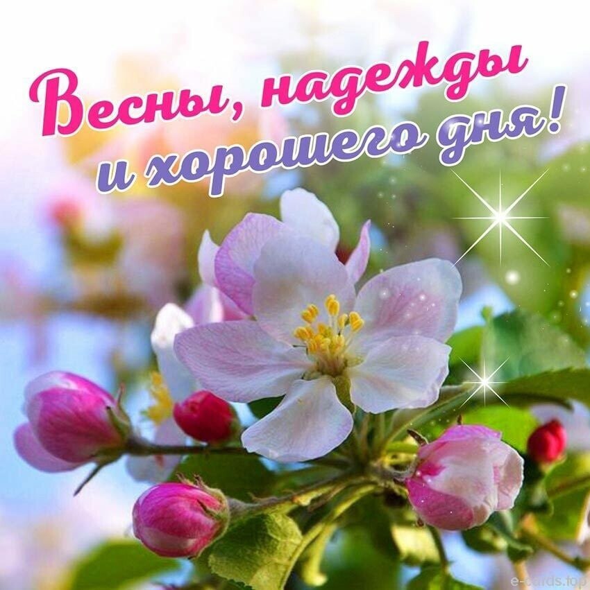   ,    . - 28  2021  12:34 - 8