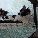 ���� Sergey, ����-�����������, 49 ��� - ��������� 21 ���� 2021 � ������ ���� ����������