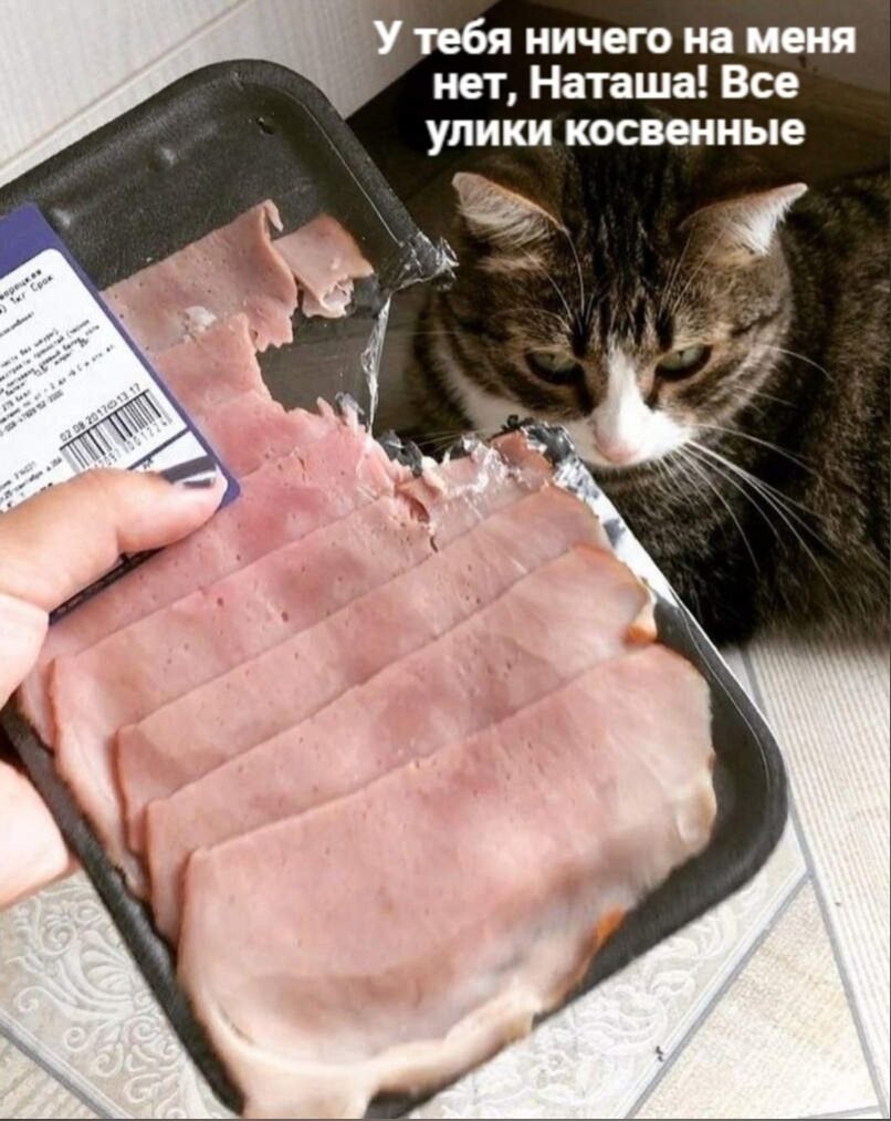 (^///^)