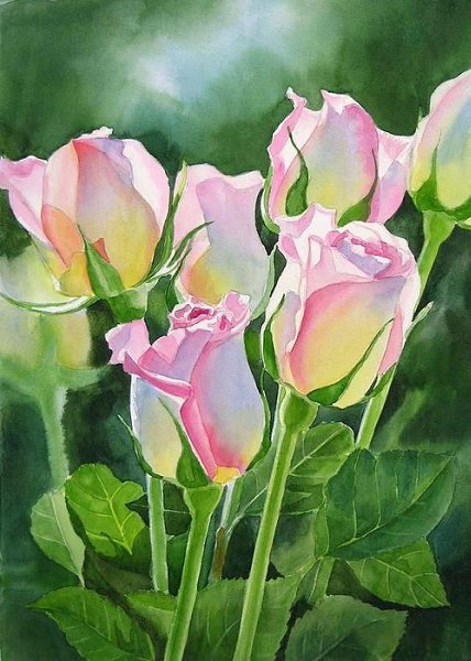   Sharon Freeman - 5