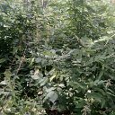 ���� Haver Santa, ���������� ����� - ��������� 28 ���� 2021 � ������ �:)�