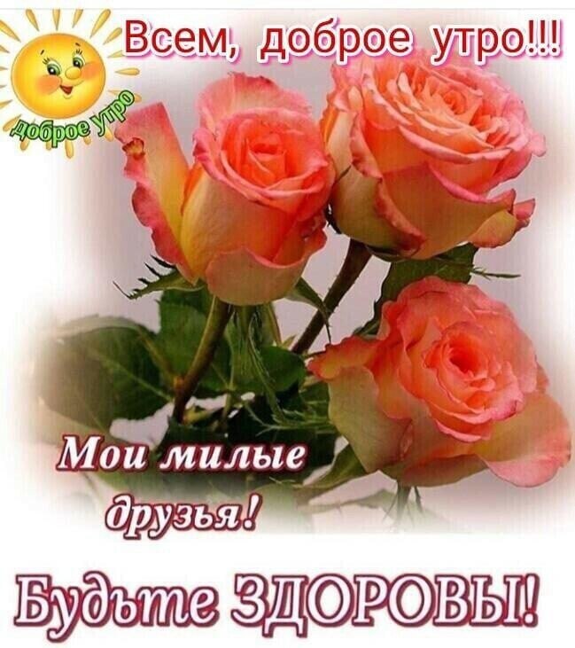   ,    . - 7  2021  09:06 - 2