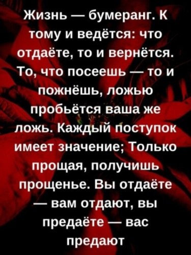  - 5  2021  01:46