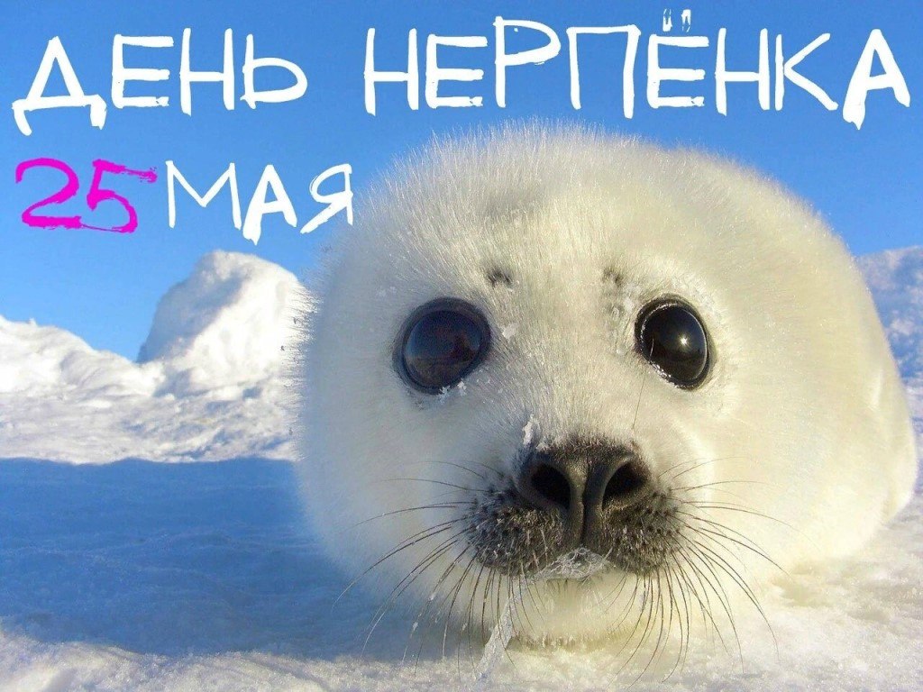  ,    . - 24  2021  23:40 - 3