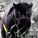 ���� ���������, ������������, 63 ���� - ��������� 12 ���� 2021