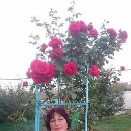 ���� �����, ������, 69 ��� - ��������� 27 ������ 2021