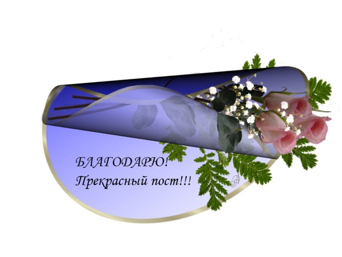   ,    . - 26  2021  18:04 - 3