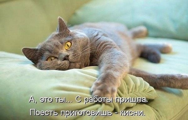    - 18  2021  00:34