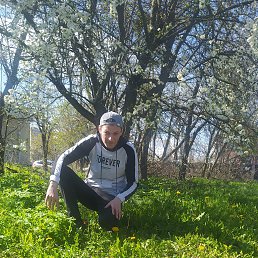 �����, �����, 41 ���