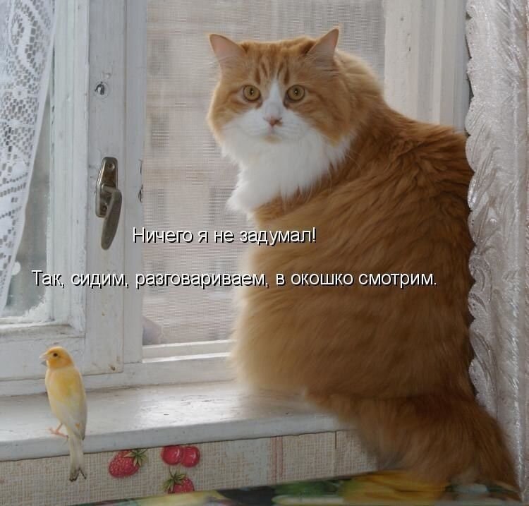    - 23  2021  21:22