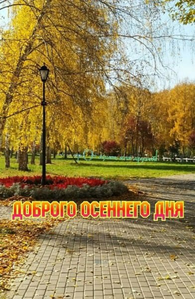   ,    . - 6  2021  12:04 - 3