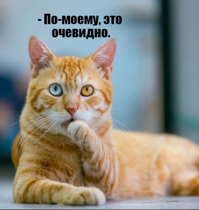       - 14  2021  14:30 - 4