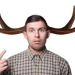 ���� ���, �������, 44 ���� - ��������� 15 ������ 2021