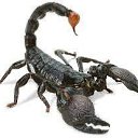 ���� Gennady, ������� - ��������� 29 ������� 2021 � ������ ���� ����������