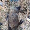 ���� ������, ������, 58 ��� - ��������� 19 ������� 2021 � ������ ���� ����������