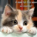 ���� �������, �����-���������, 68 ��� - ��������� 4 ������ 2021 � ������ ���� ����������