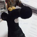 ���� �, ������� - ��������� 26 ������� 2021 � ������ ������ ��������