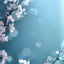 ���� Katya, ���������, 37 ��� - ��������� 12 ������� 2021