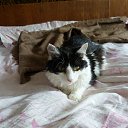 ���� Sergey, ����-�����������, 49 ��� - ��������� 21 ���� 2021 � ������ ���� ����������