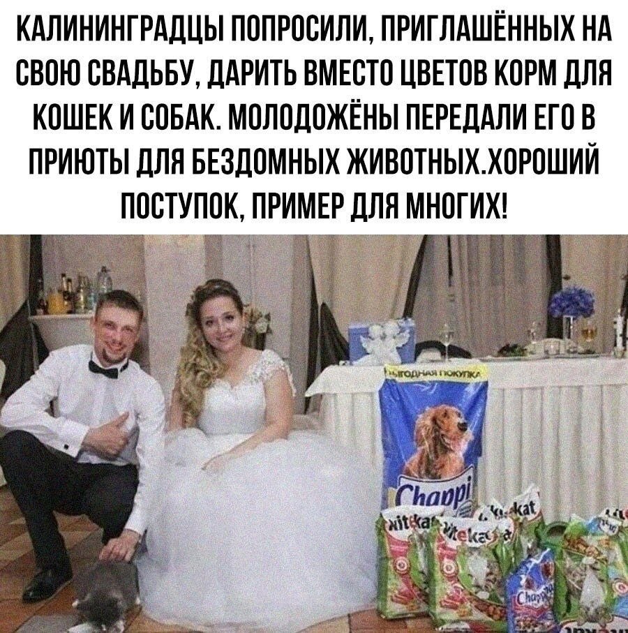 ������ ������ � ���!