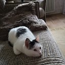 ���� ������� �� ������� ���� ��������