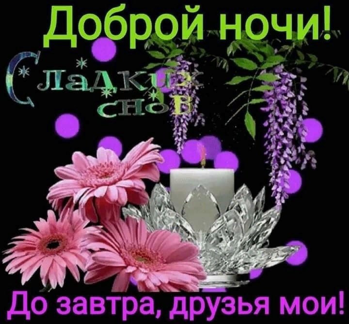   ,    . - 2  2021  22:58 - 2
