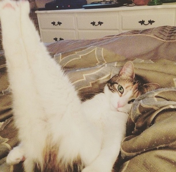 Sexy and I Know It - 2
