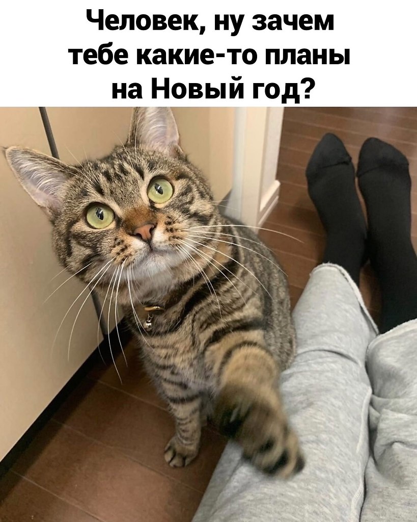  ,    , ! 