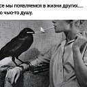 ���� ������, ����������� - ��������� 9 ������� 2021 � ������ ������ ��������