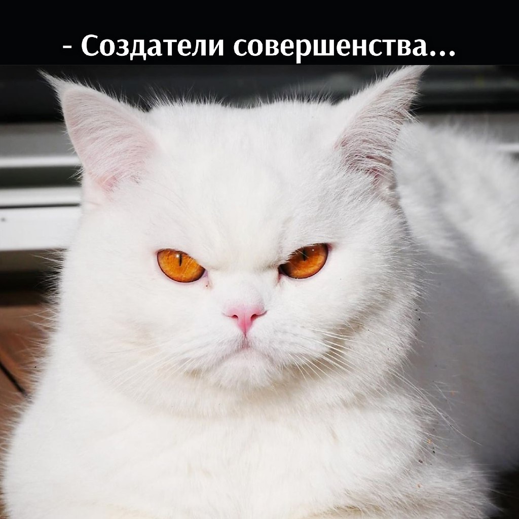       - 2  2021  22:45 - 3