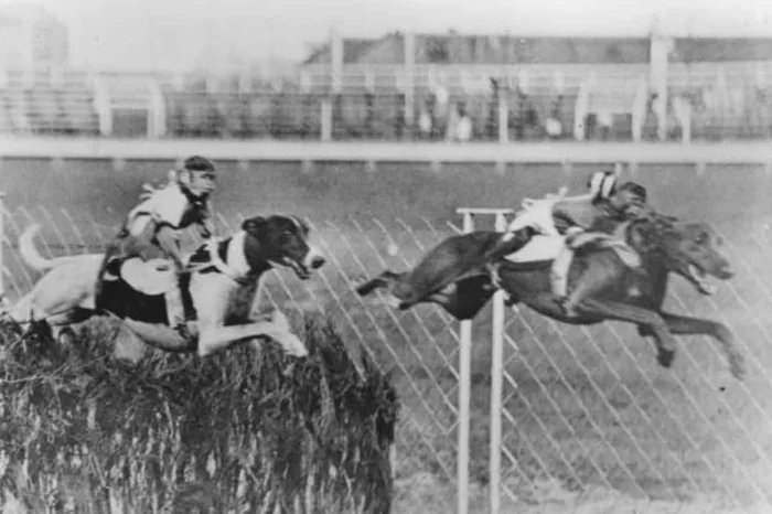 1930-  -       - 2