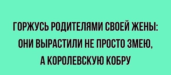 ☆ ☆ - 5  2021  23:30