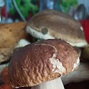 ���� Liliya, ���� - ��������� 4 �������� 2021 � ������ ������ ��������