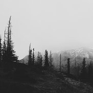 �����, 33 ����, ���������