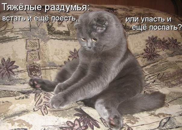   - 31  2021  22:43