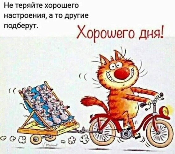   ! - 8  2021  13:48
