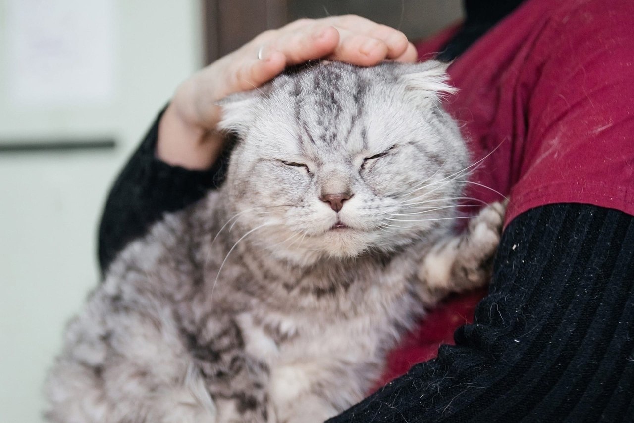 � ������ �� ��������� �����... ��� ��������� ������� �������� ���������� �����, ������� �� ��� ... - 2