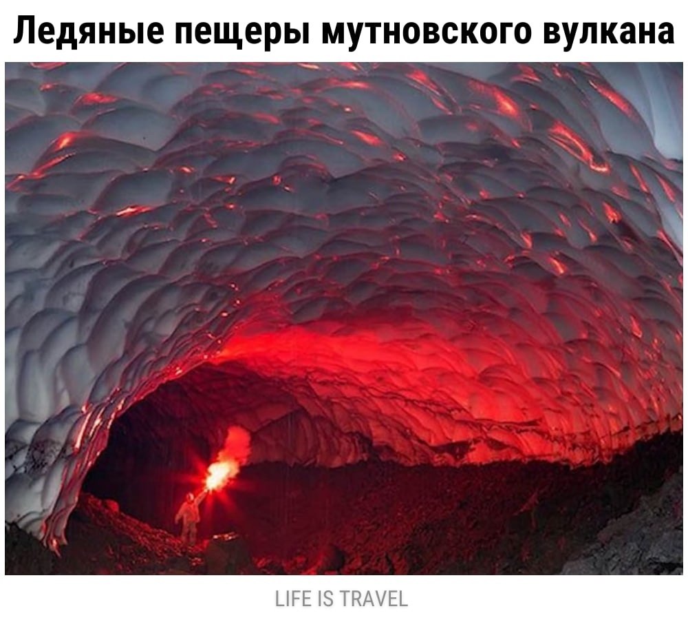 LIFE -  - 12  2021  00:36