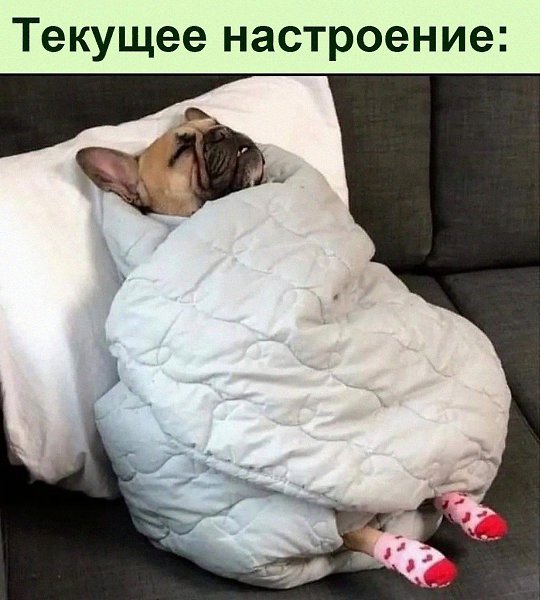 ������ ��������� :D - 3 ������� 2022 � 08:49
