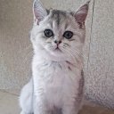 ���� ������, ������, 46 ��� - ��������� 7 ������ 2022 � ������ ���� ����������