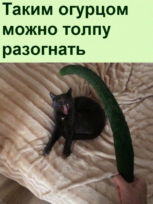   :D - 21  2022  18:21