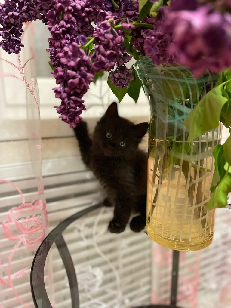 �������� ������� ! - 2