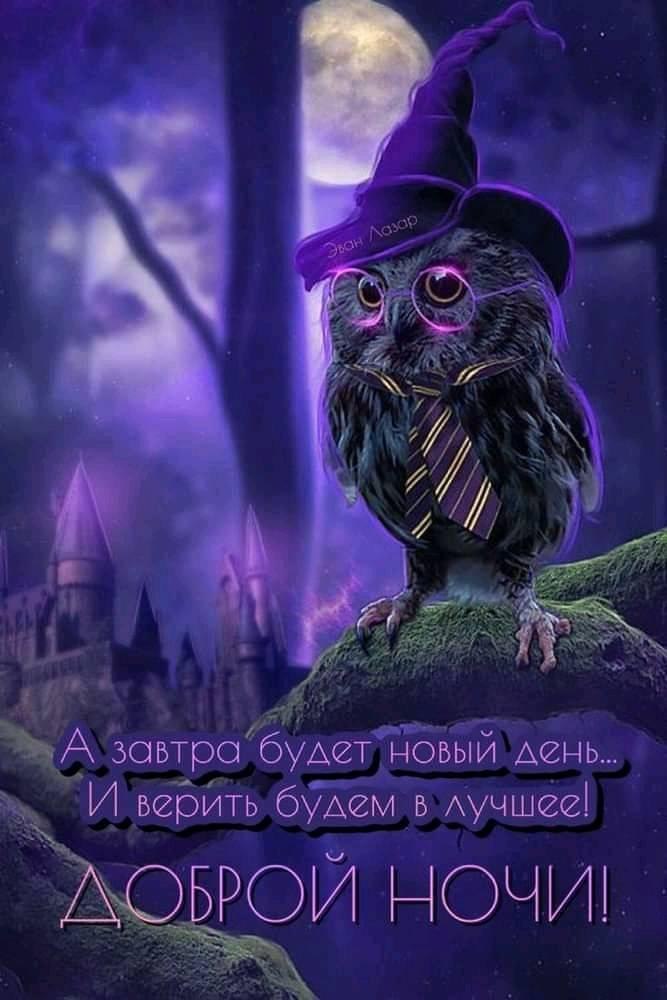   ,    . - 16  2022  21:10