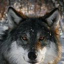 ���� Flower, ����������, 27 ��� - ��������� 16 ������ 2021 � ������ ������ ��������