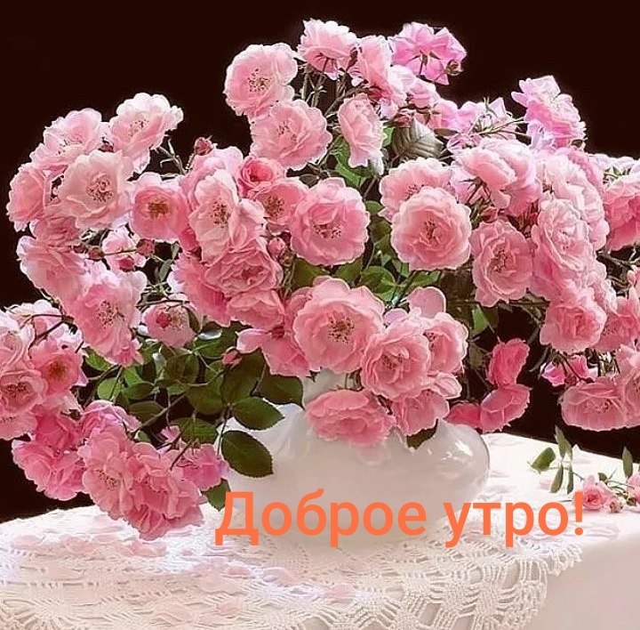 Liana - 12  2021  03:01