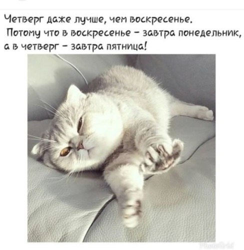   ! - 1  2021  11:51